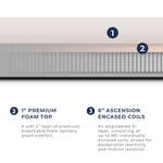 2024 On-Campus Twin XL Rental - Dormi