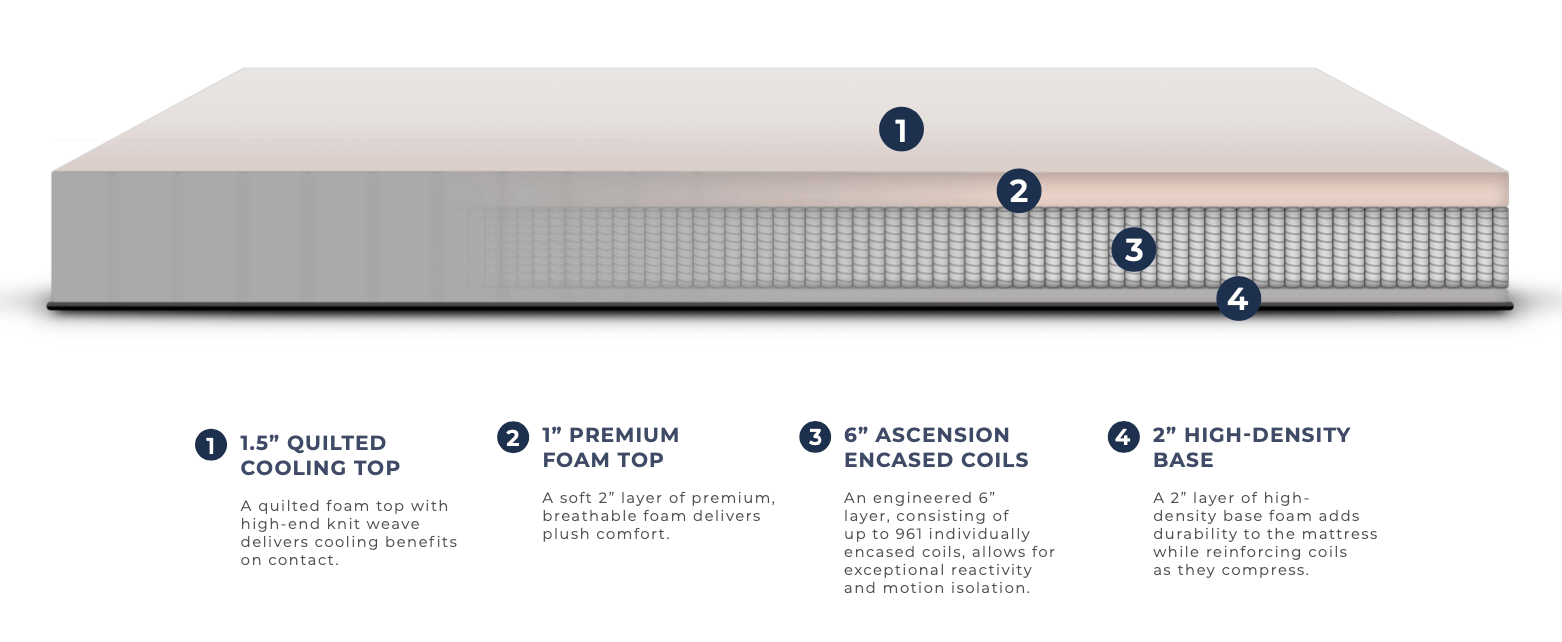 2024 On-Campus Twin XL Rental - Dormi