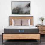 2024 On - Campus Twin XL Rental - Dormi